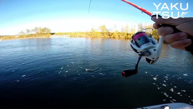 Pêche du LOUP au spinner bait dans un fleuve du sud de la France смотреть онлайн