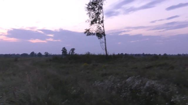 РЕКА ДЕСНА: МАКОВЕЙ НА ЛЮБИЧЕ. СОСНОВЫЙ БЕРЕГ УТЯНКИ И ЖУКИНА. ЖУКИНСКАЯ КРУЧА (13.08-14.08.2022) смотреть онлайн