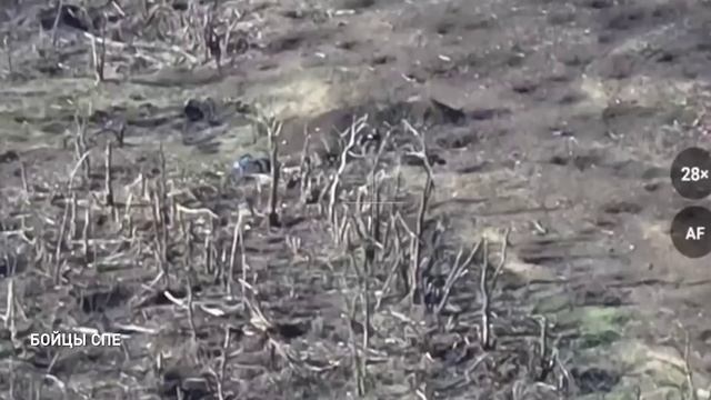 Совместная работа штурмового отряда спецназа «Ахмат» и 1-го батальона 4-й бригады ВС РФ смотреть онлайн