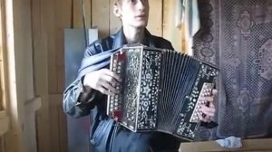 Нереальное исполнение на гармони песни Круга « Золотые Купола»