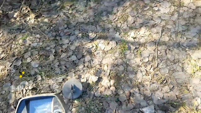 МЕТАЛЛОКОП. МЕТАЛЛОИСКАТЕЛЬ MD4030 | ЧТО НАМ УДАЛОСЬ ЗАРАБОТАТЬ ЗА 3 ЧАСА