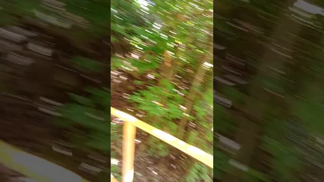 Дача художников. Гагра. Канатная дорога. смотреть онлайн