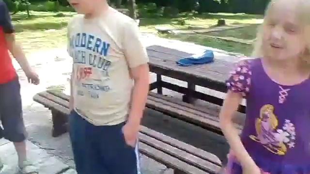 Экологическая сказка «Теремок» (отрывок)