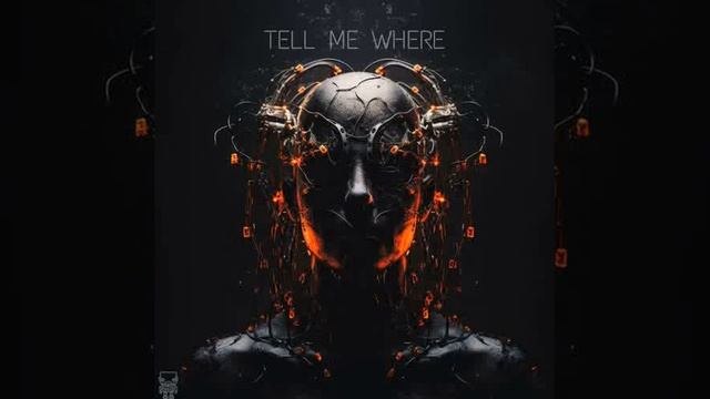 Tomy Wahl, Bilgehan Ünver - You Are a Liar [SAPIENT ROBOTS] смотреть онлайн