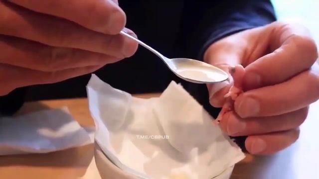 Как вырастить попугая из яйца?