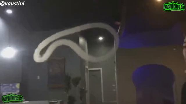 Vape the monster смотреть онлайн