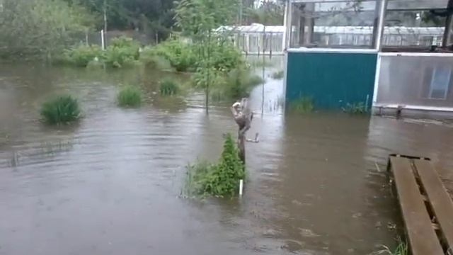 2020 06 02 Наводнение на даче. День третий смотреть онлайн