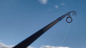 Отрабатываю дальний заброс карповым удилищем Mifine Legend Carp Х3.