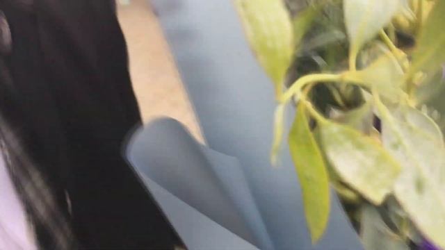 взрыв школа 1 сентября)))DObrotaCanel смотреть онлайн