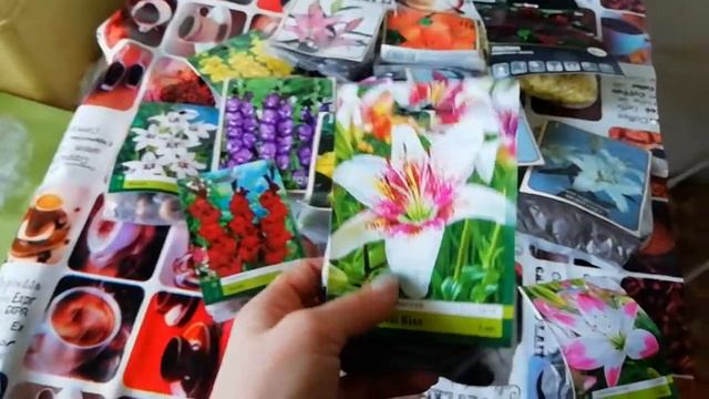 Готовлюсь к даче покупки Фикс Прайс и Светофор цветы лилии и гладиолусы