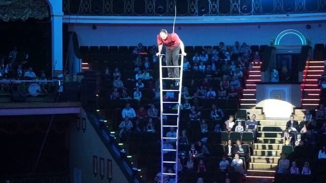 Цирки мира 2018 Минск Свободно стоящая лестница смотреть онлайн