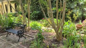 Служба и кресный ход в православной американской церкви