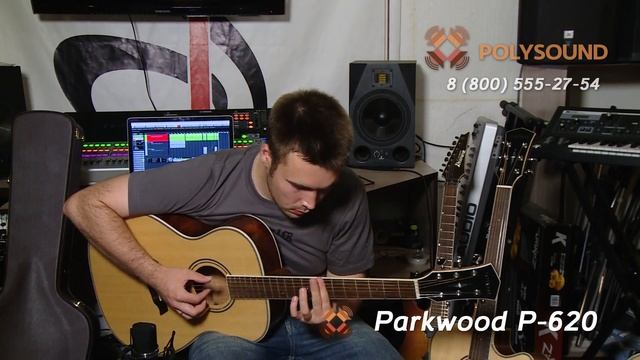 Красивые гитары с футляром Parkwood P620 P660 P670 сравнение и обзор смотреть онлайн