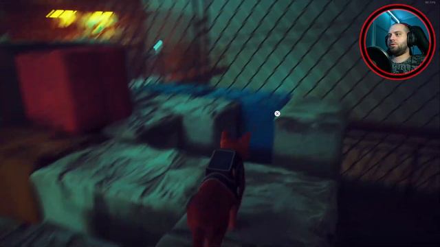 ТА САМАЯ КЛЕМЕНТИНА | Stray #6 смотреть онлайн