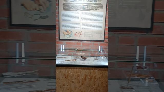 Выставка «Мамонт и его спутники» . смотреть онлайн