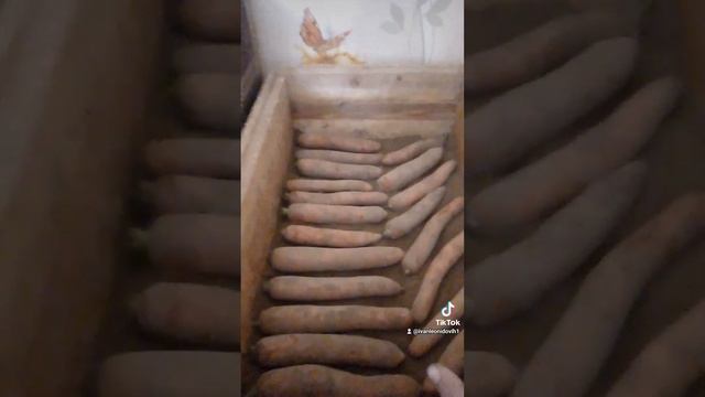 Как хранить морковь на зиму. смотреть онлайн