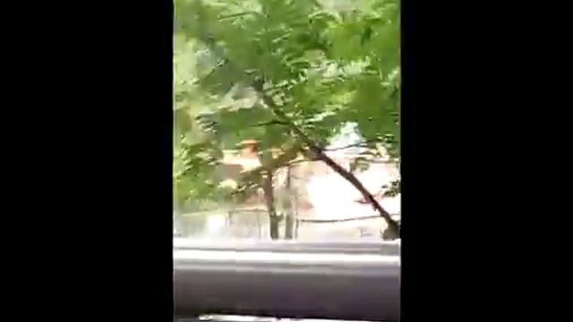 Москва идем в зоопарк !!!!! смотреть онлайн