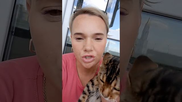 можно ли гулять с кошкой котом? смотреть онлайн