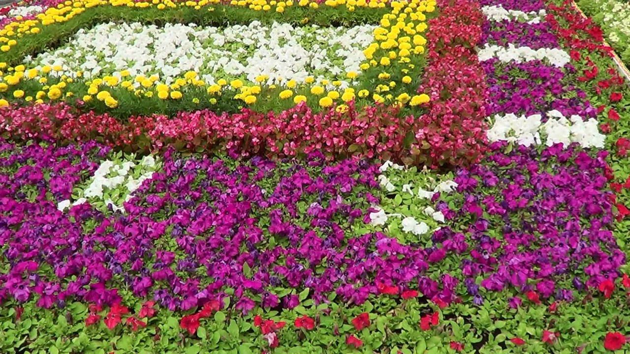 Фестиваль цветов 2015. Москва. ГУМ. смотреть онлайн