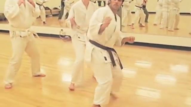 University Of Washington Shotokan Karate