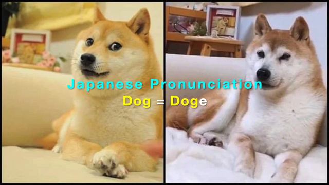How To Pronounce DOGE: Correct Way To Say DogeCoin