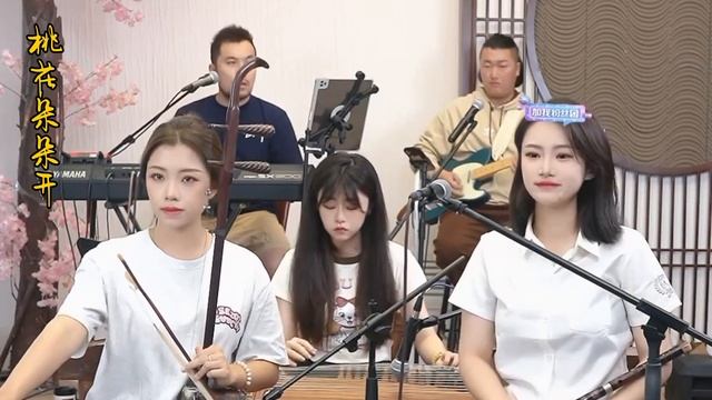 【唐音樂隊】《桃花朵朵开》LIVE Tangyin 唐音乐队 Chinese Music 二胡 竹笛 古筝 Erhu Dizi Guzheng 國樂 乐器演奏 中國樂器 Chinese music смотреть онлайн