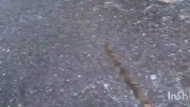 Деля на озере и на реке смотреть онлайн
