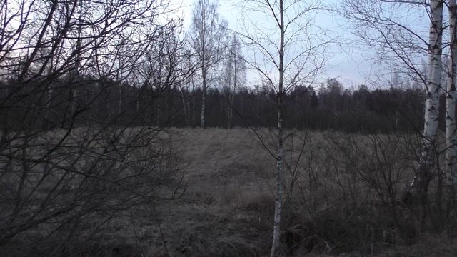 Охота на вальдшнепа, козлы распугали! смотреть онлайн