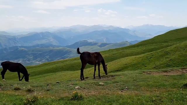 Село Гуниб .Гунибский район. Дагестан смотреть онлайн