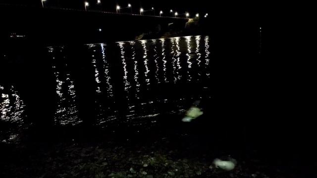По Уловистым местам .Пойман весь видовой состав реки . Рыбалка в ночь .Фидер . смотреть онлайн