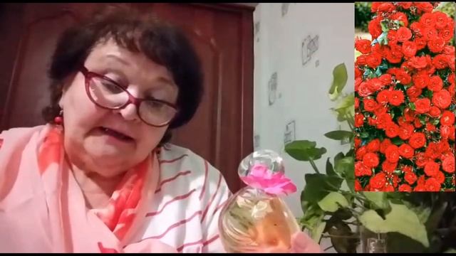 Парфюмы с ароматом розы 2 ч. смотреть онлайн