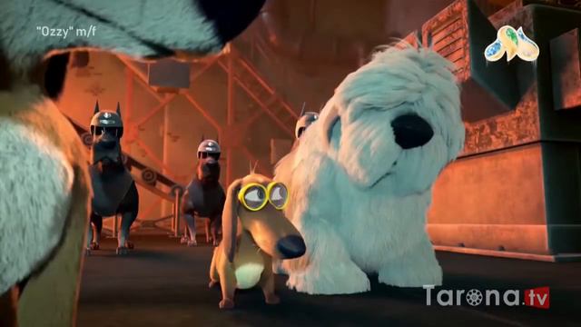 Ozzy Multfilm Tarjima HD