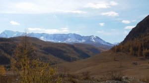 На смелое поведение и высокую работоспособность    Сытин Г.Н.