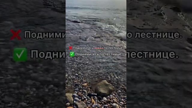 Примеры плеоназмов ⬆️#русский #грамотность #правила #егэ #русскийязык # #история смотреть онлайн