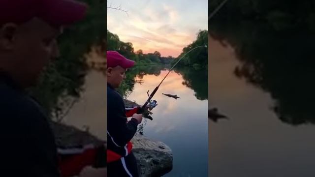 Рыбалка на Красивой Мече 31.07.21 смотреть онлайн