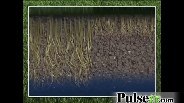 Grassology смотреть онлайн