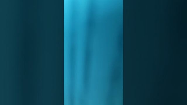 22 декабря 2022 г. смотреть онлайн