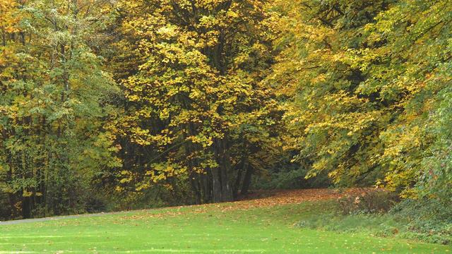 Urban Autumn 2016 2160p смотреть онлайн