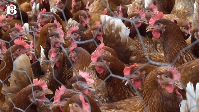 Как обрести любовь? | Советы на Великий пост смотреть онлайн