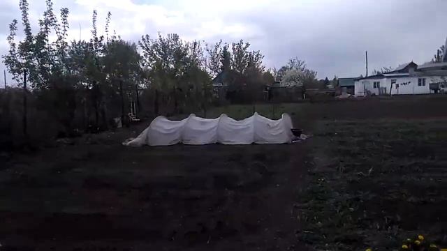 Моя ограда и мои питомцы. смотреть онлайн