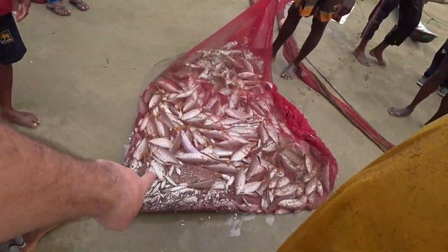 Удачная рыбалка в Индийском океане смотреть онлайн