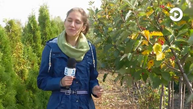 В Пензенской области создали питомник ландшафтных растений смотреть онлайн