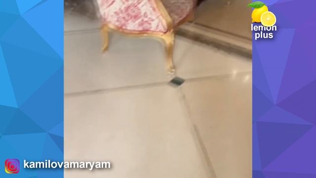 Помбархат ва велюр матосидан сиз курмаган гузал либослар фасонлари смотреть онлайн