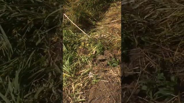 20.09.2022 год. Природа Башкирии. смотреть онлайн