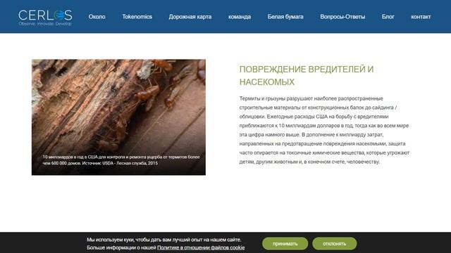 Cerlos важный и серьёзный проект смотреть онлайн