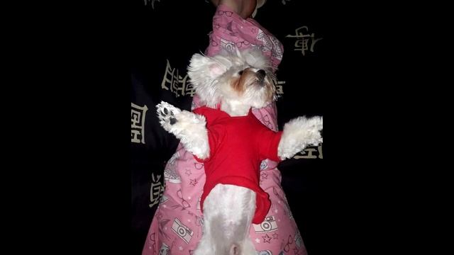 как нужно высыпаться))) смотреть онлайн