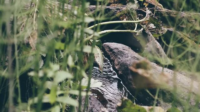 HOME. Bashkortostan nature смотреть онлайн