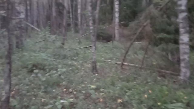 Попытка №3.На 2 с плюсом. смотреть онлайн