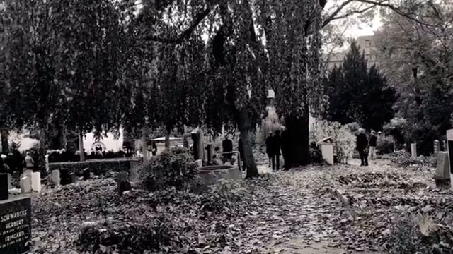 Solo für Kohlhaase (1931-2022) смотреть онлайн
