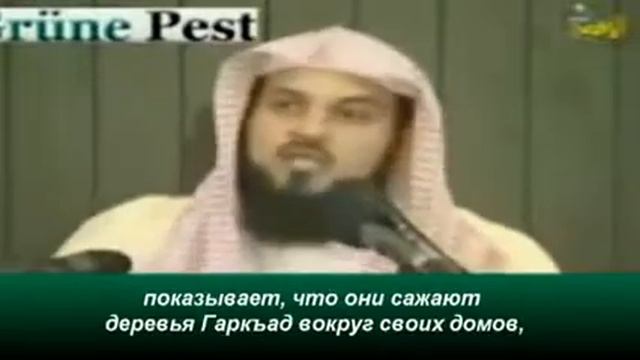 Дерево Гаркъад - Мухаммад аль-Арифи смотреть онлайн
